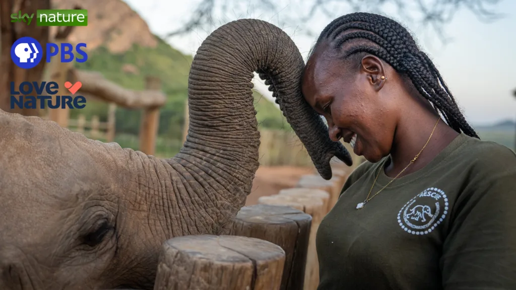 Reteti Elephant Orphanage